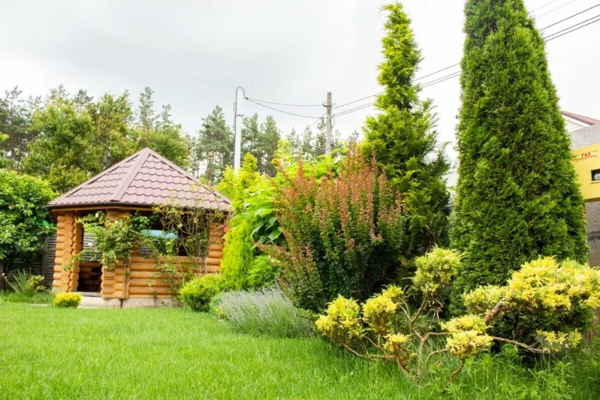 https://saratov.tgv-stroy.ru/storage/app/uploads/public/637/ef4/fb3/637ef4fb3605f391429275.png